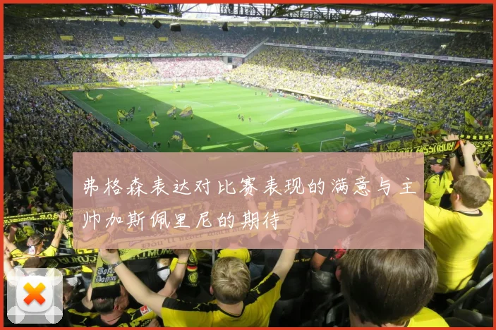 弗格森表达对比赛表现的满意与主帅加斯佩里尼的期待