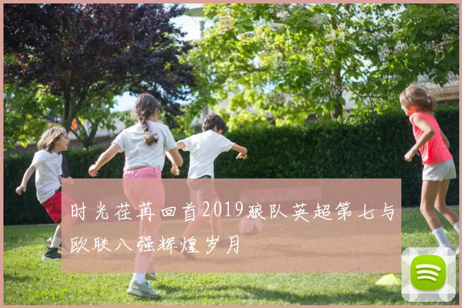 时光荏苒回首2019狼队英超第七与欧联八强辉煌岁月