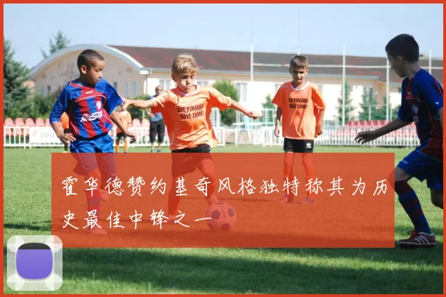 霍华德赞约基奇风格独特称其为历史最佳中锋之一