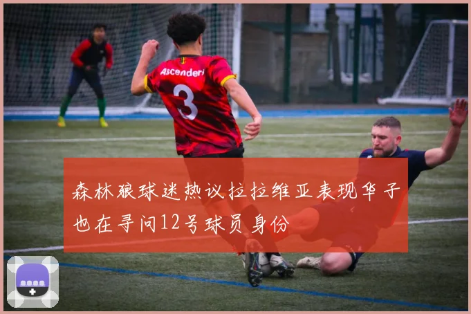 森林狼球迷热议拉拉维亚表现华子也在寻问12号球员身份
